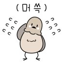 송정체육관 이미지