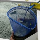 다올수산 이미지