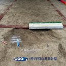 구미초등학교 이미지