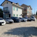 황금코다리(광주매월점) 이미지