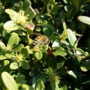 광산구-091 네이버블로그