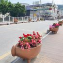 수안보온천길 이미지