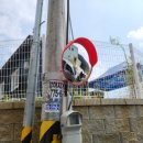 반사경전봇대 이미지