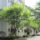 서구-01-106 이미지