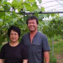 몸사랑농장 이미지