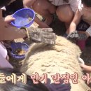 산양키우는 가 이미지