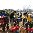 희망나무심기1 이미지