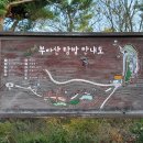 대이작치안센터 이미지