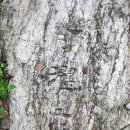 [경기/북한산산행]노고산독재동추사필적암각문