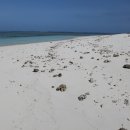 산호학원 이미지