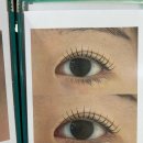 반송동159 | 동탄영천동 속눈썹펌, 짝눈도 자연스럽게 달라질까? 솔직 후기