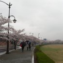 신라초등학교 이미지