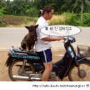 청하부분정비 이미지