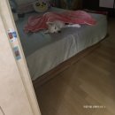 모리동물병원 이미지