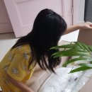 남매침구 이미지