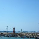 대도유료낚시터 이미지