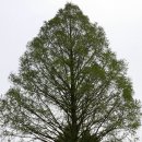 묘도보건진료소 이미지