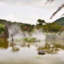 메이즈랜드 이미지