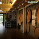 보림제다 이미지