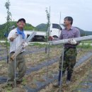박창규 농장 이미지