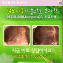 이랜드평촌프라자 네이버블로그