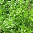 옥화농장 이미지