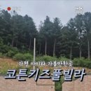 코튼키즈풀빌라 이미지