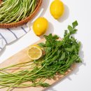 싱싱푸드 이미지