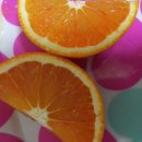 가영농장 이미지