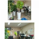 하마공인중개사사무소 이미지