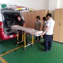 광양보건대학교 이미지