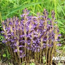 국립공원관리공단 한려해상국립공원동부사무소 이미지