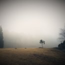 성안드레아 병원 이미지