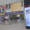 베이비페어36 | 대구 엑스코 베이비 키즈페어 후기 37주 일상