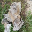 부직포 불루베리 화분 미사용12개(마감 합니다) 이미지