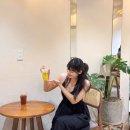 청안약국 | 6박8일 냐짱 여행 나트랑 여행 기록2 (청안딤섬, 뷰모리, 슈슈땅콩, 감성카페, 티엔빈 약국 등)