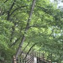 장성호관광지 | 장성호 출렁다리 후기｜입장료 안 아까운 이유 + 주차·코스·소요시간 총정리
