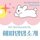 해피댕댕 이미지