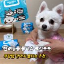 동물을사랑하는사람들 | 쿠팡템 추천 반려동물 전용 물티슈 강아지물티슈 추천 클린포포