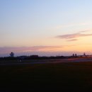 요나고래 이미지