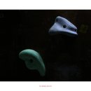 수원-0725 이미지