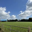 현대 목장 이미지