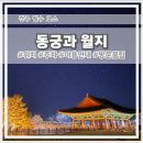 112901-라054-1 | 경주 야경 필수 코스 인증샷 명소 동궁과 월지 명당 주차 입장