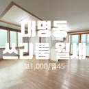 신대박공인중개사사무소 네이버블로그