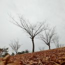 밀양아리랑오토캠핑장 이미지