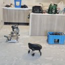 해솔마루 이미지