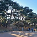 부암상사 이미지