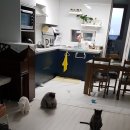 그루밍 타임 이미지