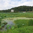 사암리 선돌 이미지