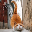 나만의 포트레이트 이미지